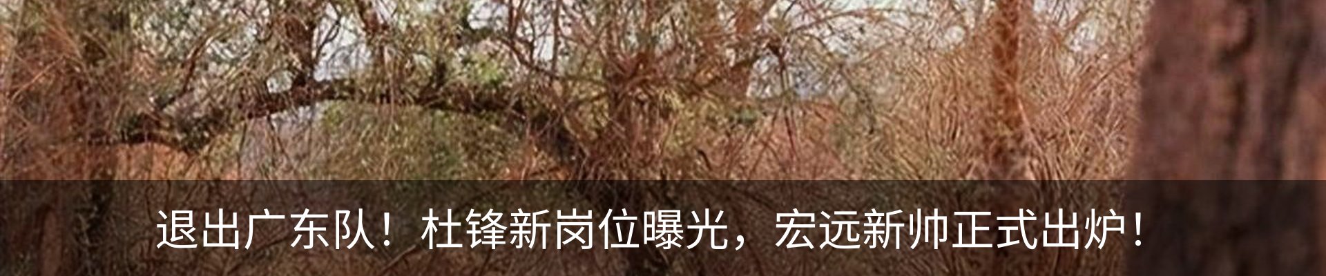 热点资讯